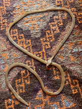 Hazy Dayz Ride The Snake Necklace/ Belt